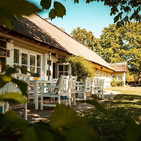 Vanatoa Taluhotell Koguva Extérieur photo