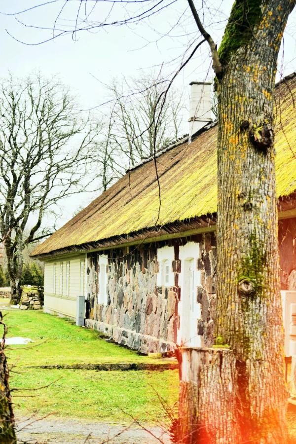 Vanatoa Taluhotell Koguva Extérieur photo